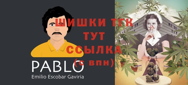 прущие грибы Абаза