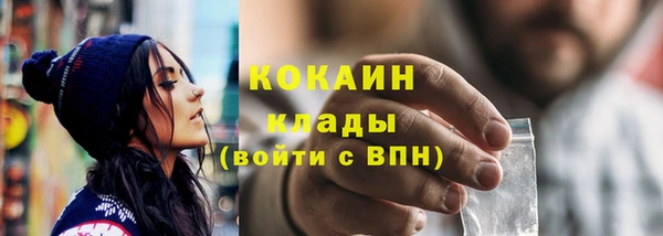 прущие грибы Абаза