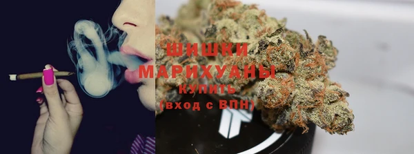 прущие грибы Абаза