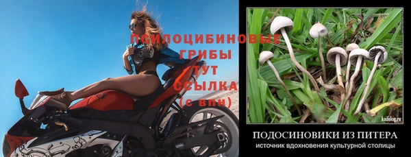 синтетический гашиш Алексеевка