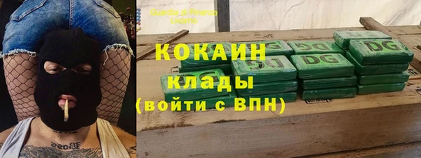 прущие грибы Абаза