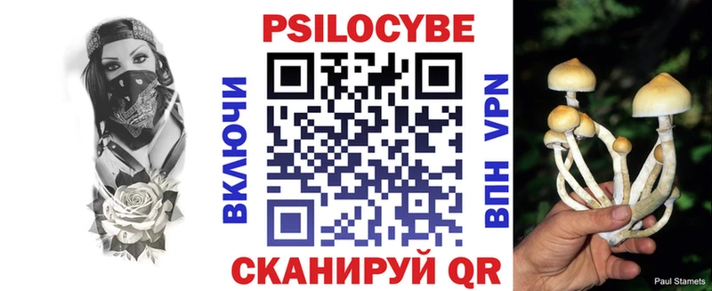 Галлюциногенные грибы Psilocybe  Сургут 