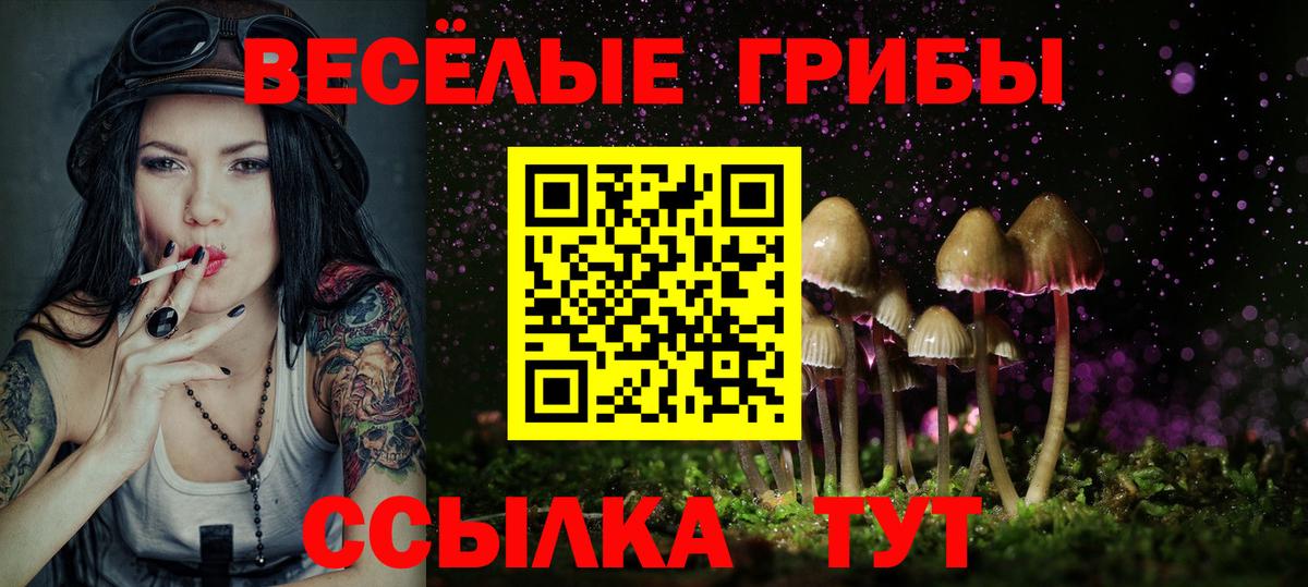Галлюциногенные грибы Psilocybine cubensis  Галлюциногенные грибы мицелий  Сургут  Вход с VPN 